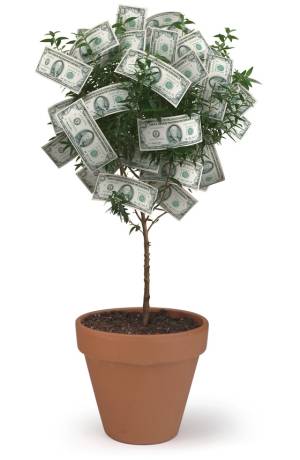 Investments Opportunities